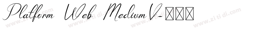 Platform Web MediumV字体转换 Platform Web MediumV字体转换